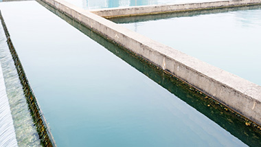 工業(yè)廢水處理技術總共有哪些