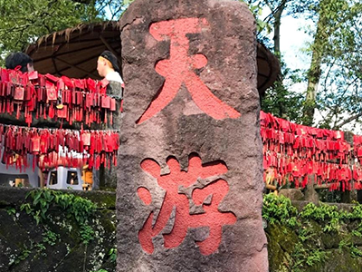 踏青山聚同心，必源環(huán)保武夷山團建之旅圓滿收官！